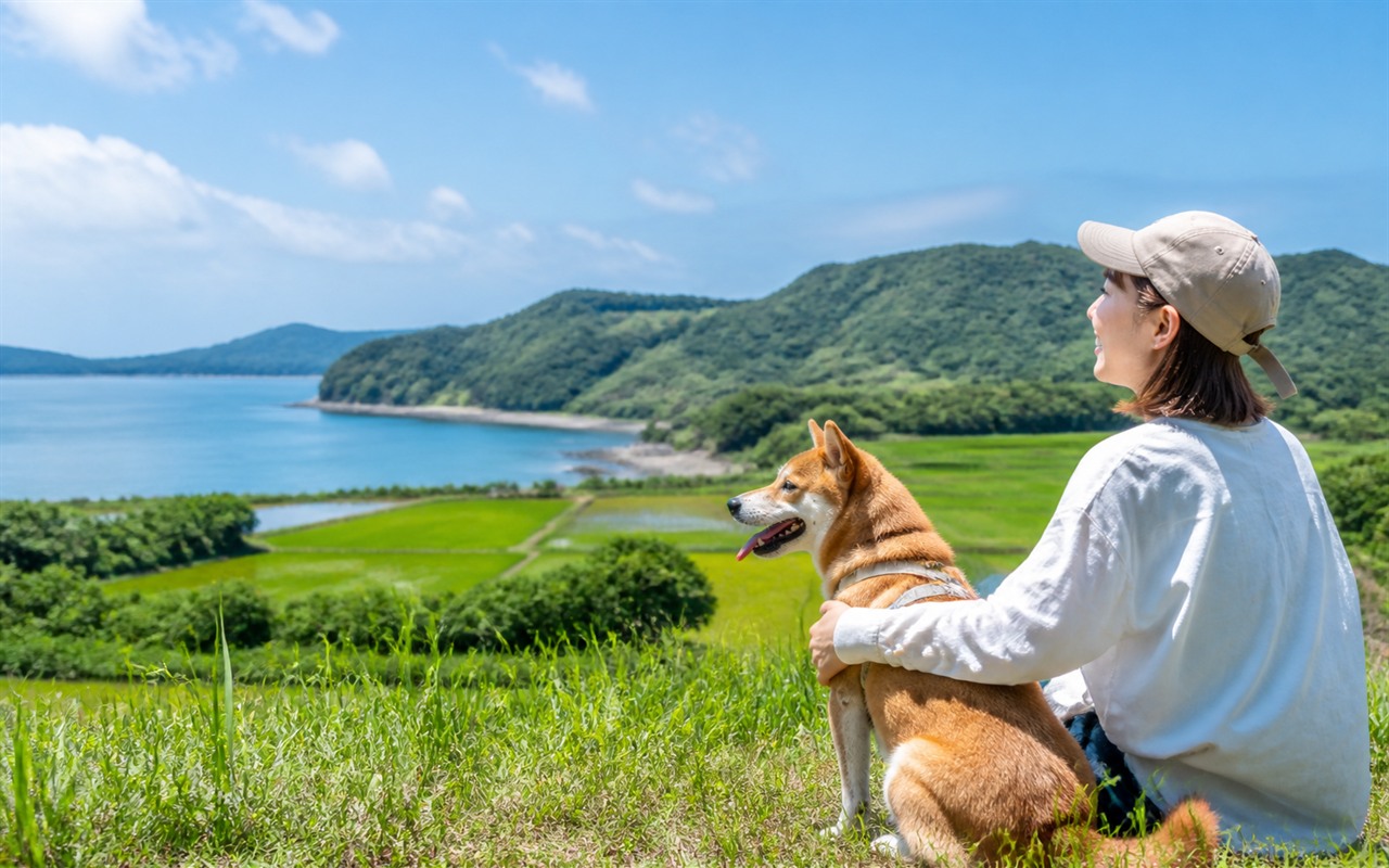愛知県を犬と旅する旅行イメージ