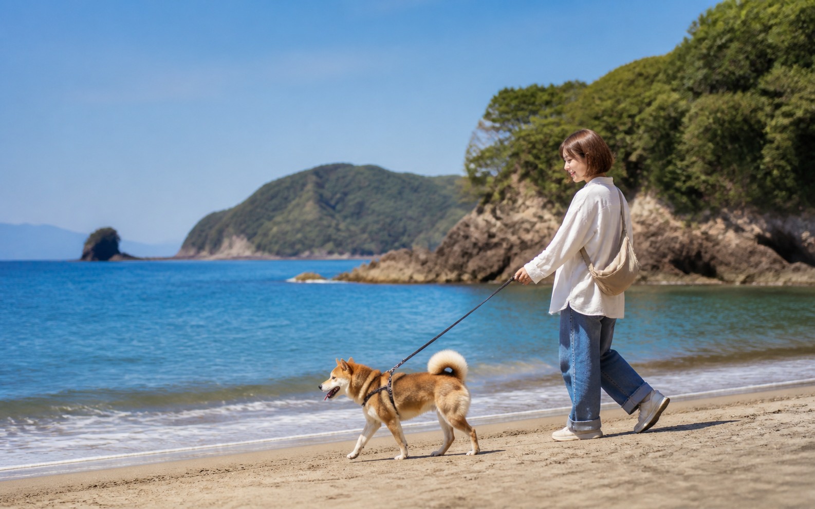 静岡県の海辺を犬と過ごす旅行イメージ