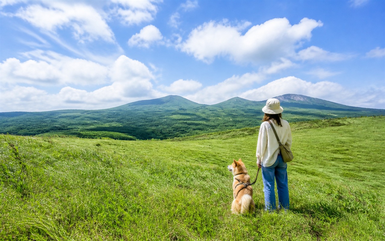 栃木県の高原を犬と散策する旅行イメージ