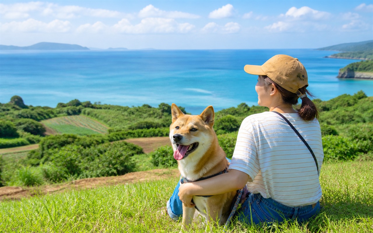 沖縄県を犬と旅する旅行イメージ
