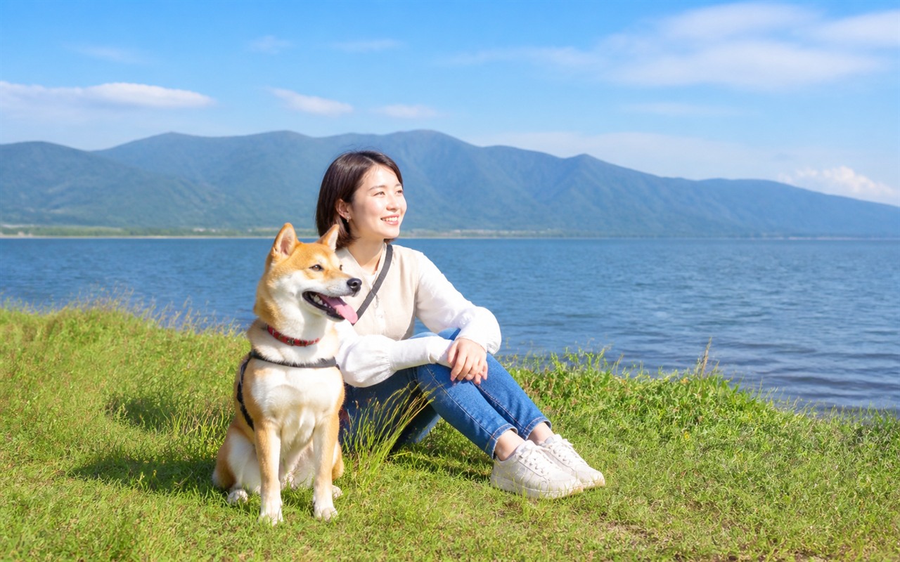 滋賀県を犬と旅する旅行イメージ