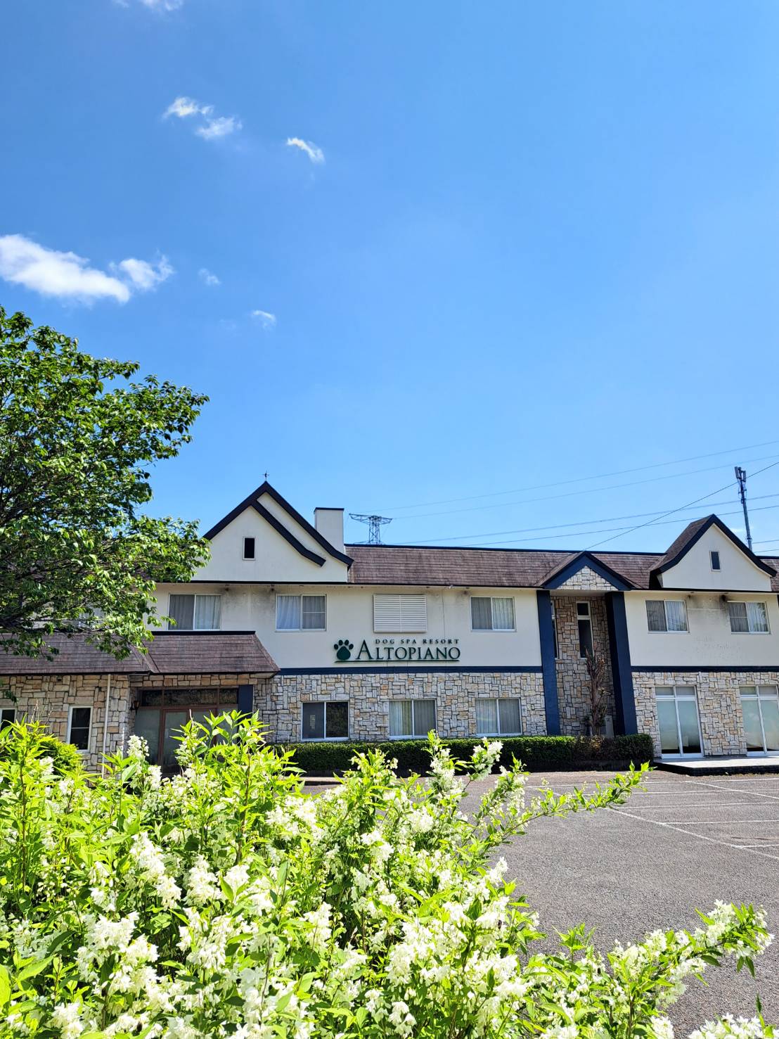 DOG SPA RESORT アルトピアーノ