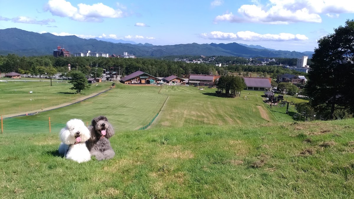 コンドミニアム フラットレット草津の実際の写真