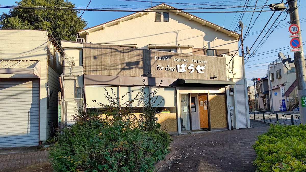for dogs ぱうぜ
