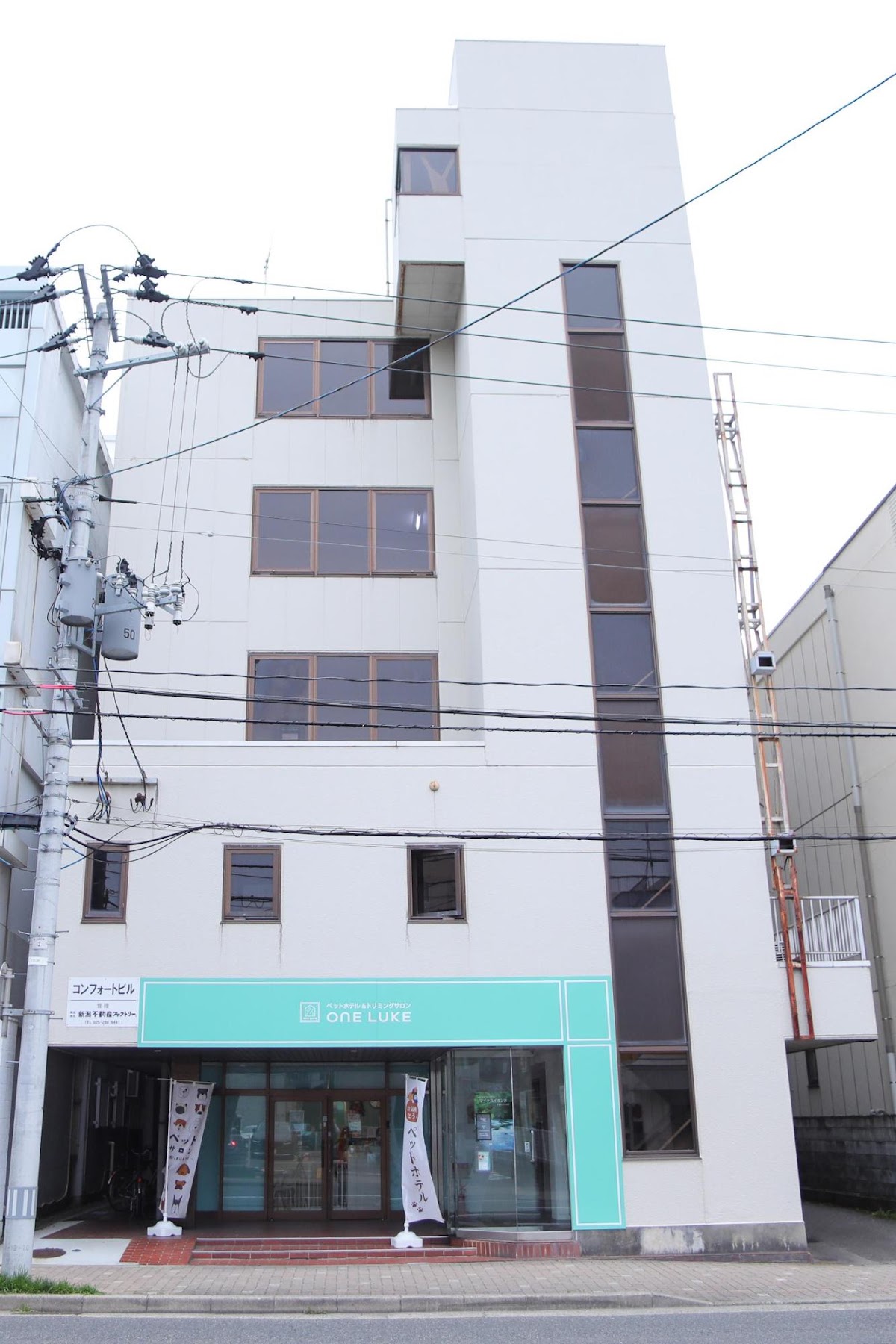 ペットと泊まれる宿 DoggoInn Niigata