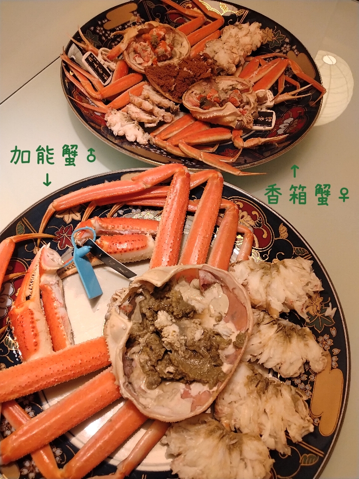 金澤わおんの実際の写真