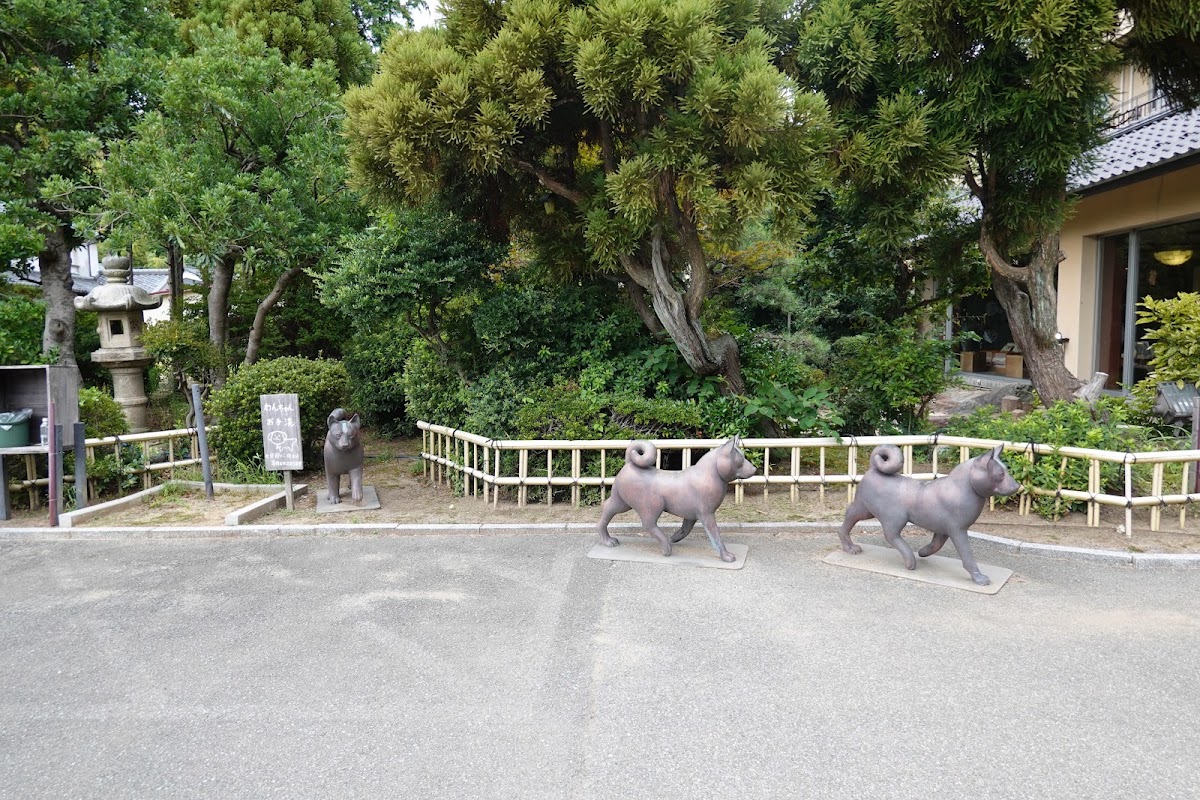 愛犬と過ごす温泉宿 月香