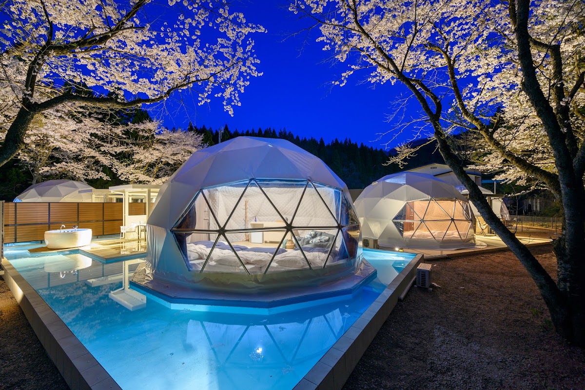 ルポの森の実際の写真
