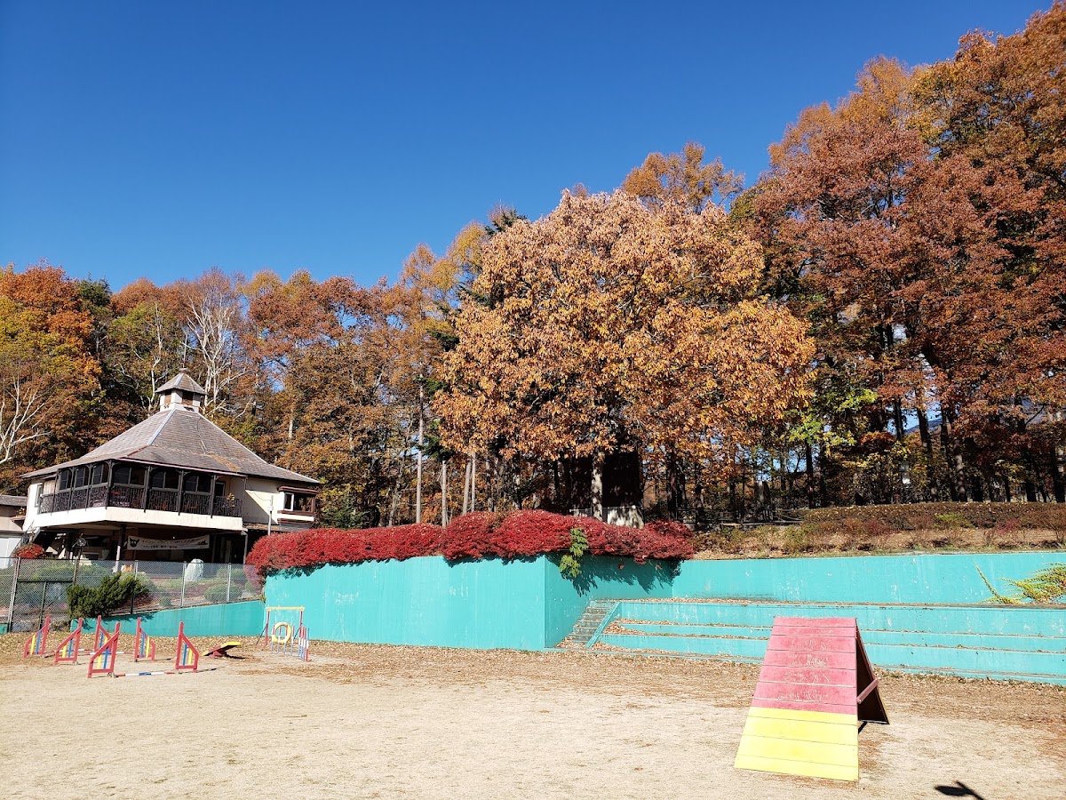 わんわんパラダイス 八ヶ岳（旧：八ヶ岳わんわんパラダイスコテージ）の実際の写真