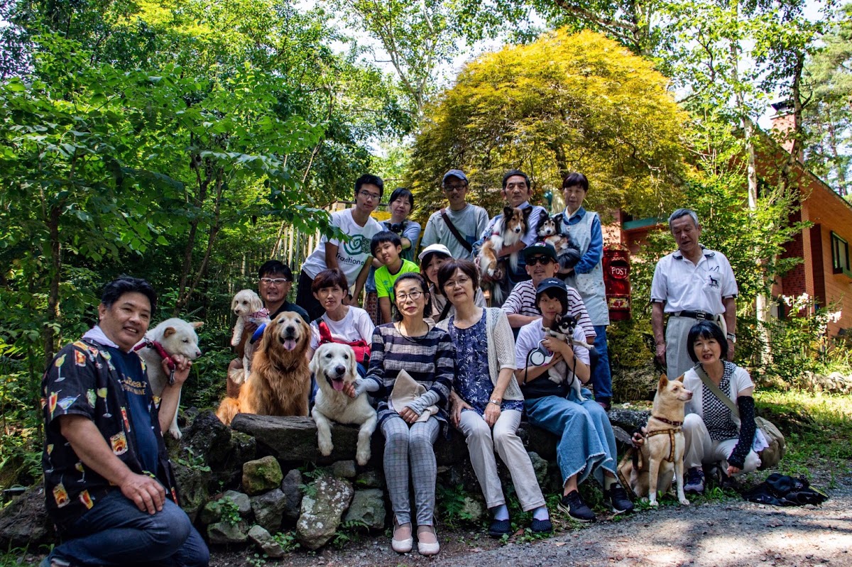 ドッグランド サムデイの実際の写真
