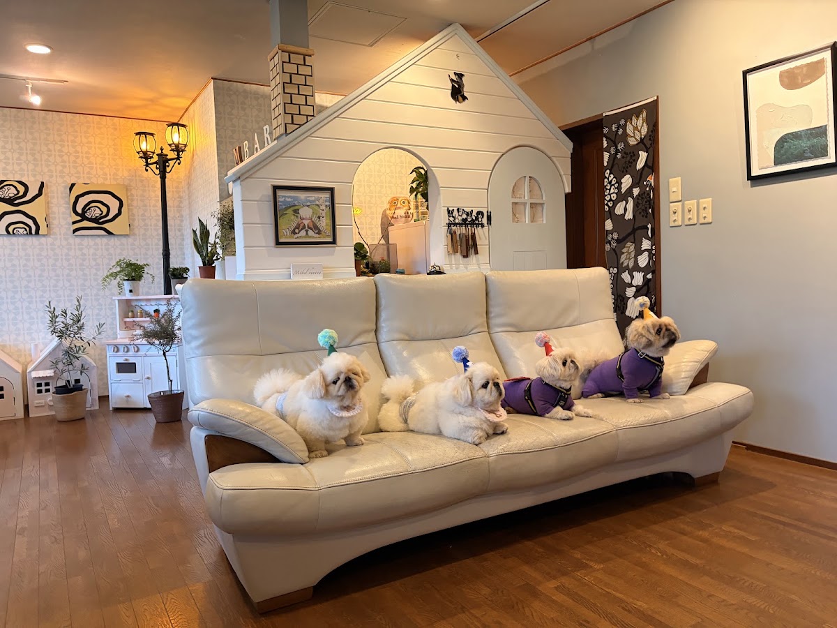 犬と泊まれる宿 ペンションメーベルヒナナの実際の写真