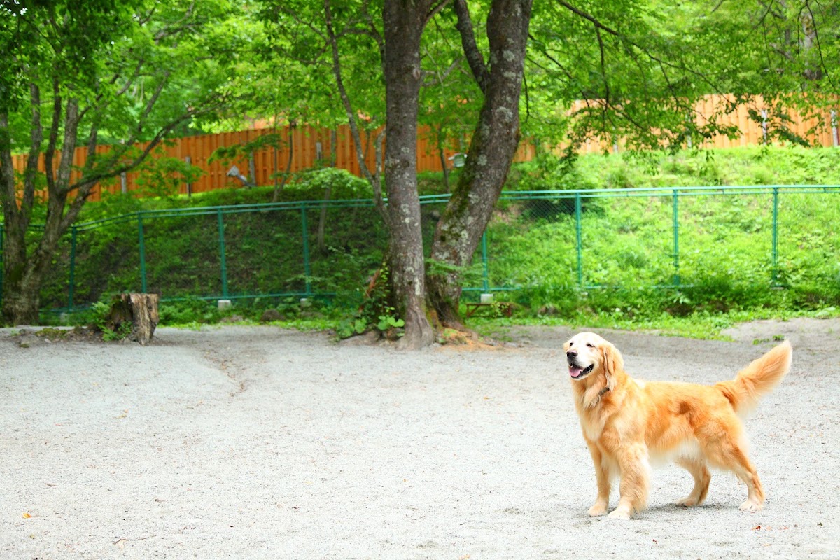 わんわんパラダイス 高山（旧：高山わんわんパラダイスホテル＆コテージ）の実際の写真