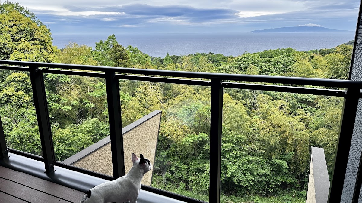 犬宿しらくら