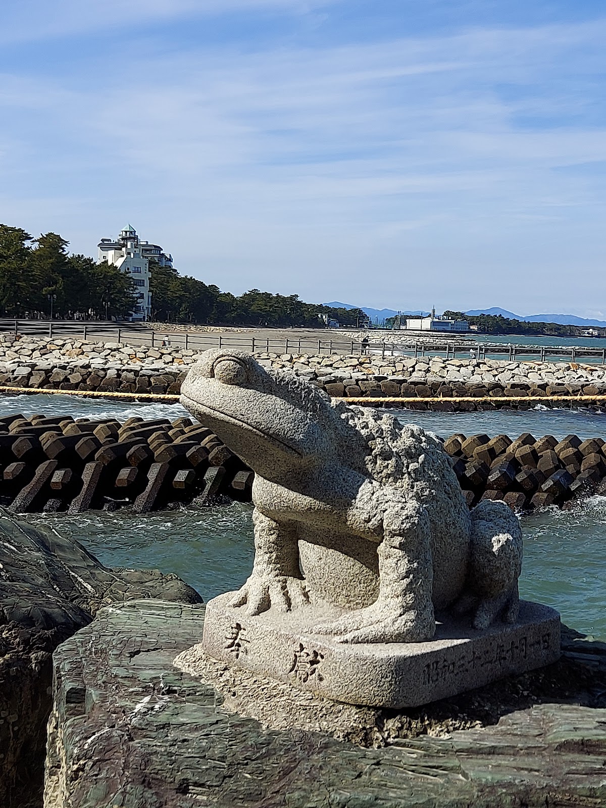 ペットと泊まれる旅館 まつしん