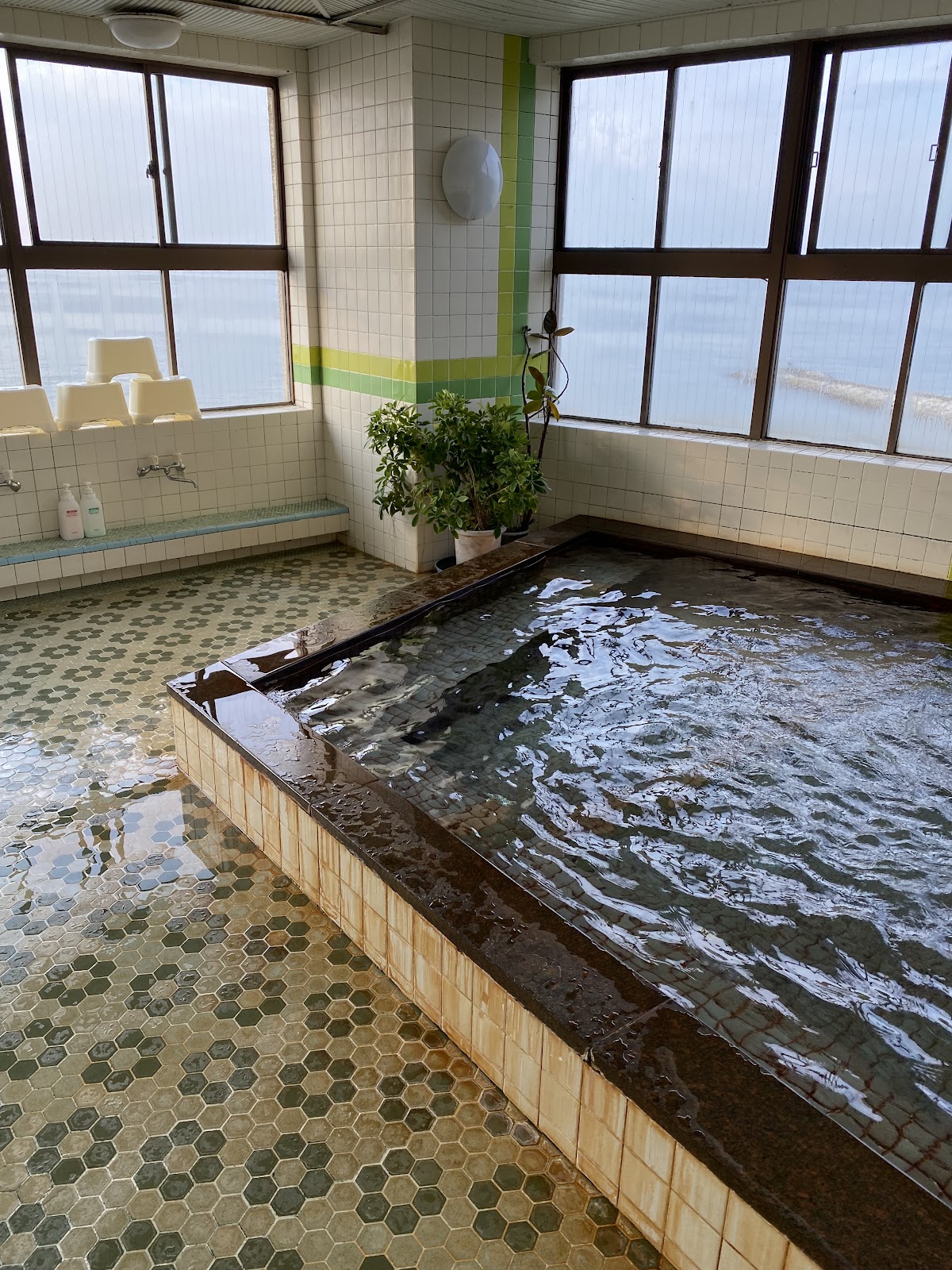 ペットと泊まれる旅館 まつしんの実際の写真