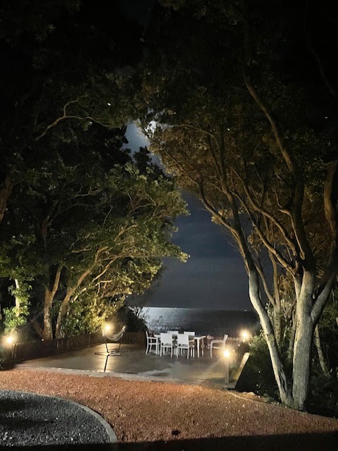 Current Shima カレント志摩の実際の写真