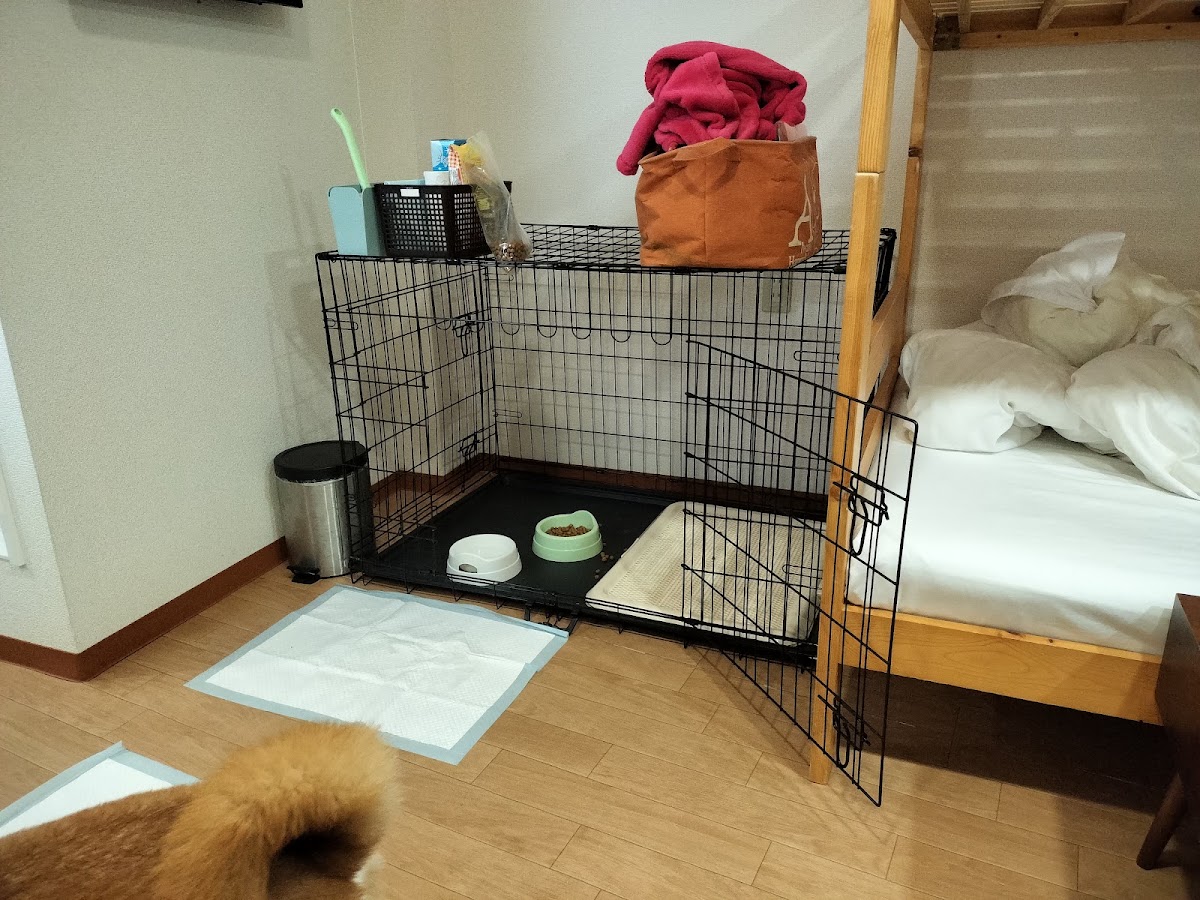 ゲストハウスcomodoの実際の写真