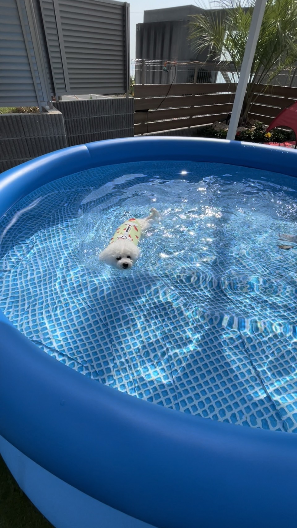 Dog Villa HAPPINESSの実際の写真