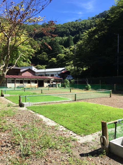 民宿かわらび荘