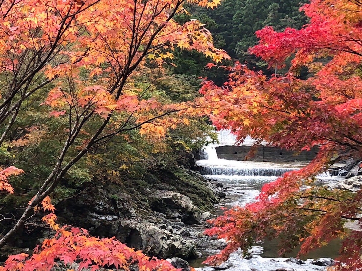 民宿かわらび荘の実際の写真