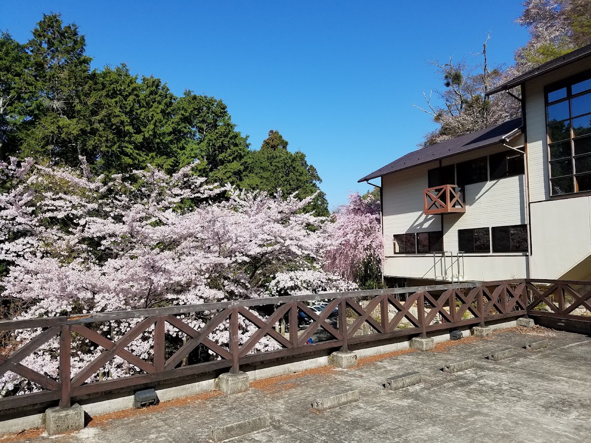太鼓判 花夢花夢