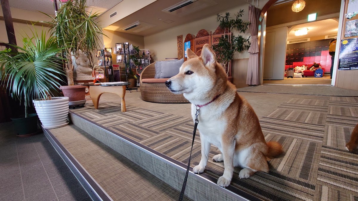 犬御殿