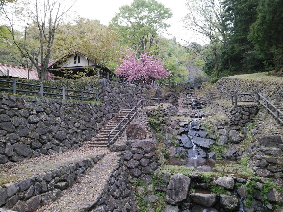 みと自然の森の実際の写真