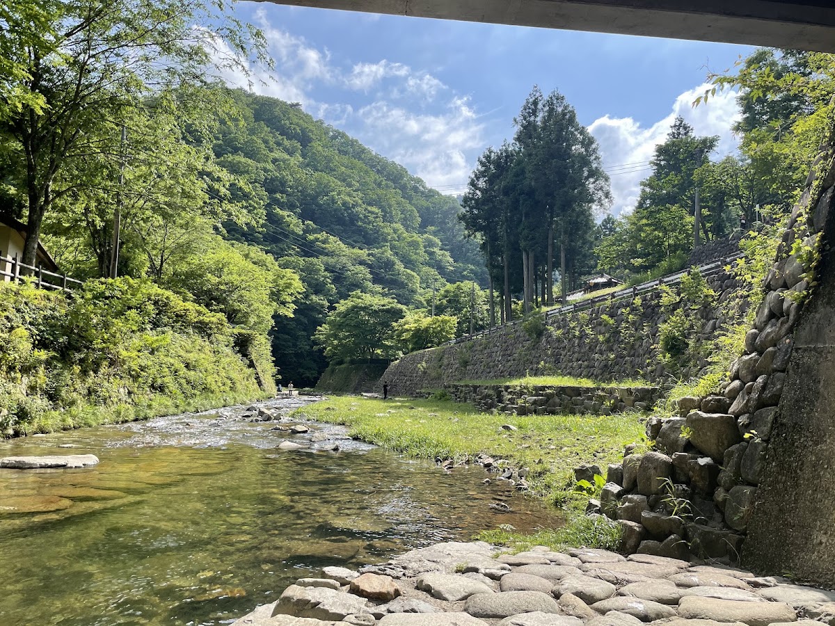 みと自然の森の実際の写真