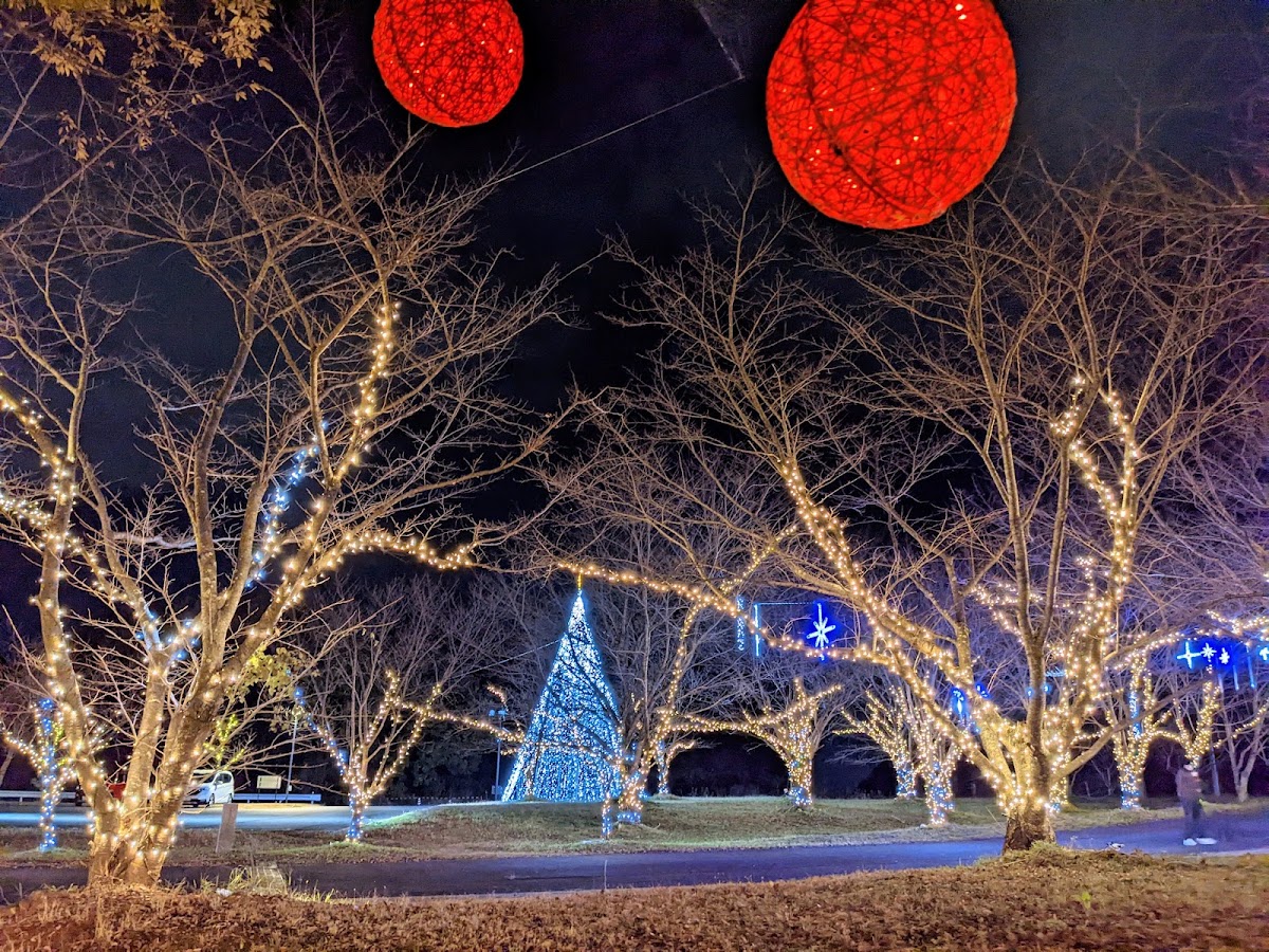大池公園 ふれあいの里ログハウスの実際の写真