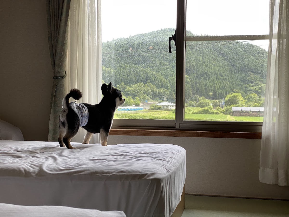 湯布院ガーデンホテルの実際の写真