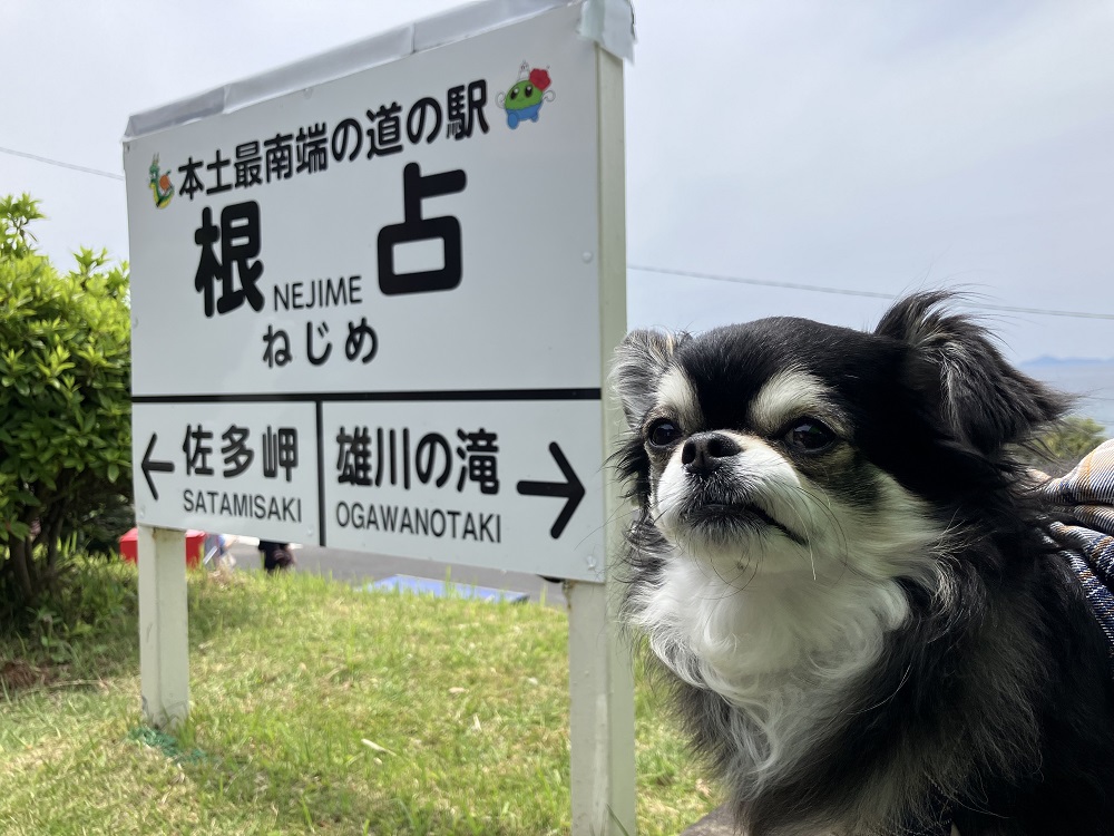 瀬々串 海 テラスの実際の写真