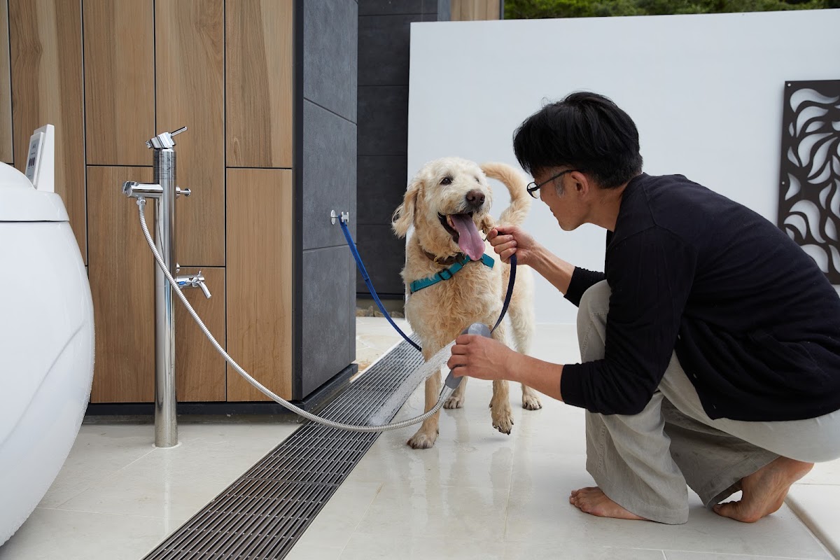 Mare Blu Amamiの実際の写真