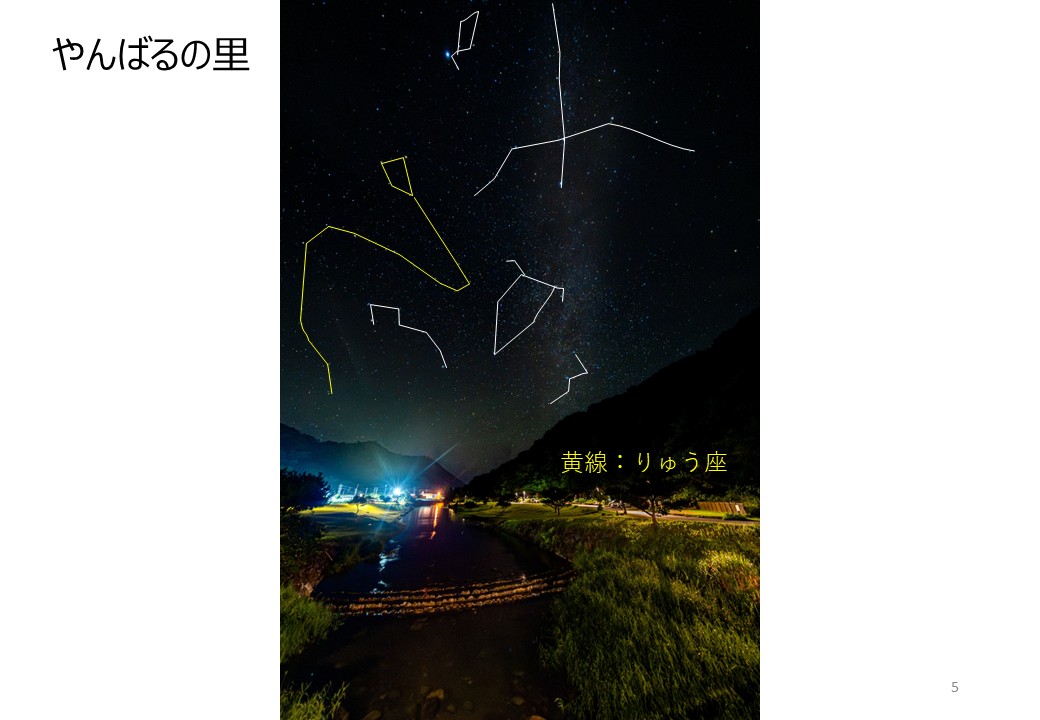 奥やんばるの里の実際の写真