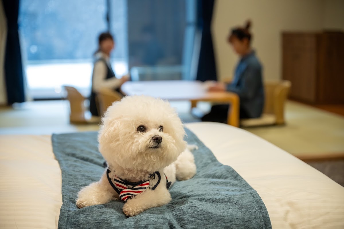 R with dogの実際の写真