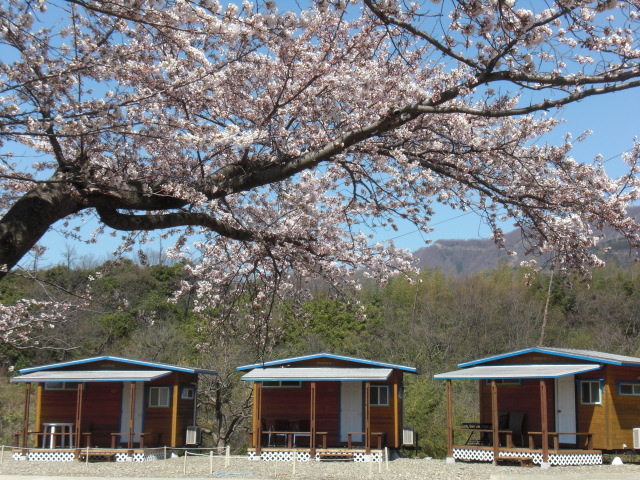 海が見えるコテージ＆キャンプ※熊の居ないキャンプ場！弥彦山は熊居ません！周囲12000v獣除け電柵設置で安心！