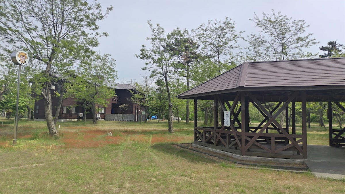 海辺の森キャンプ場