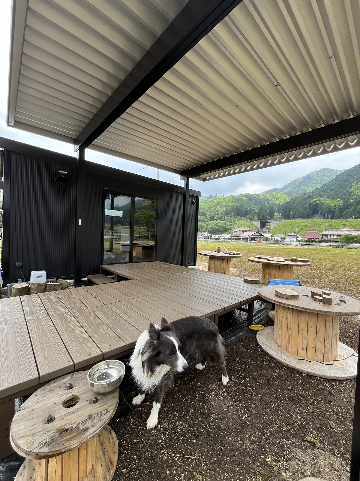 ドッグラン ROAN キャンプ広島