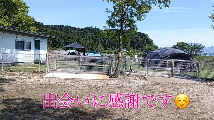 火の国ドッグラン オートキャンプ場