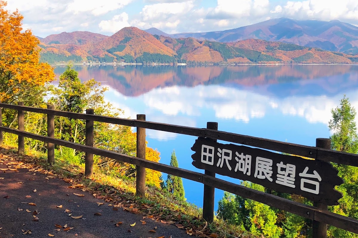 かたまえ山森林公園