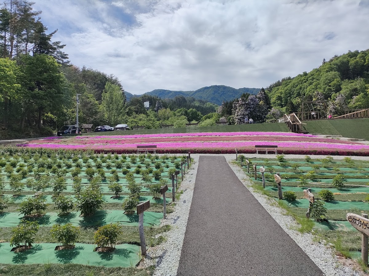 ながいピオニーの森