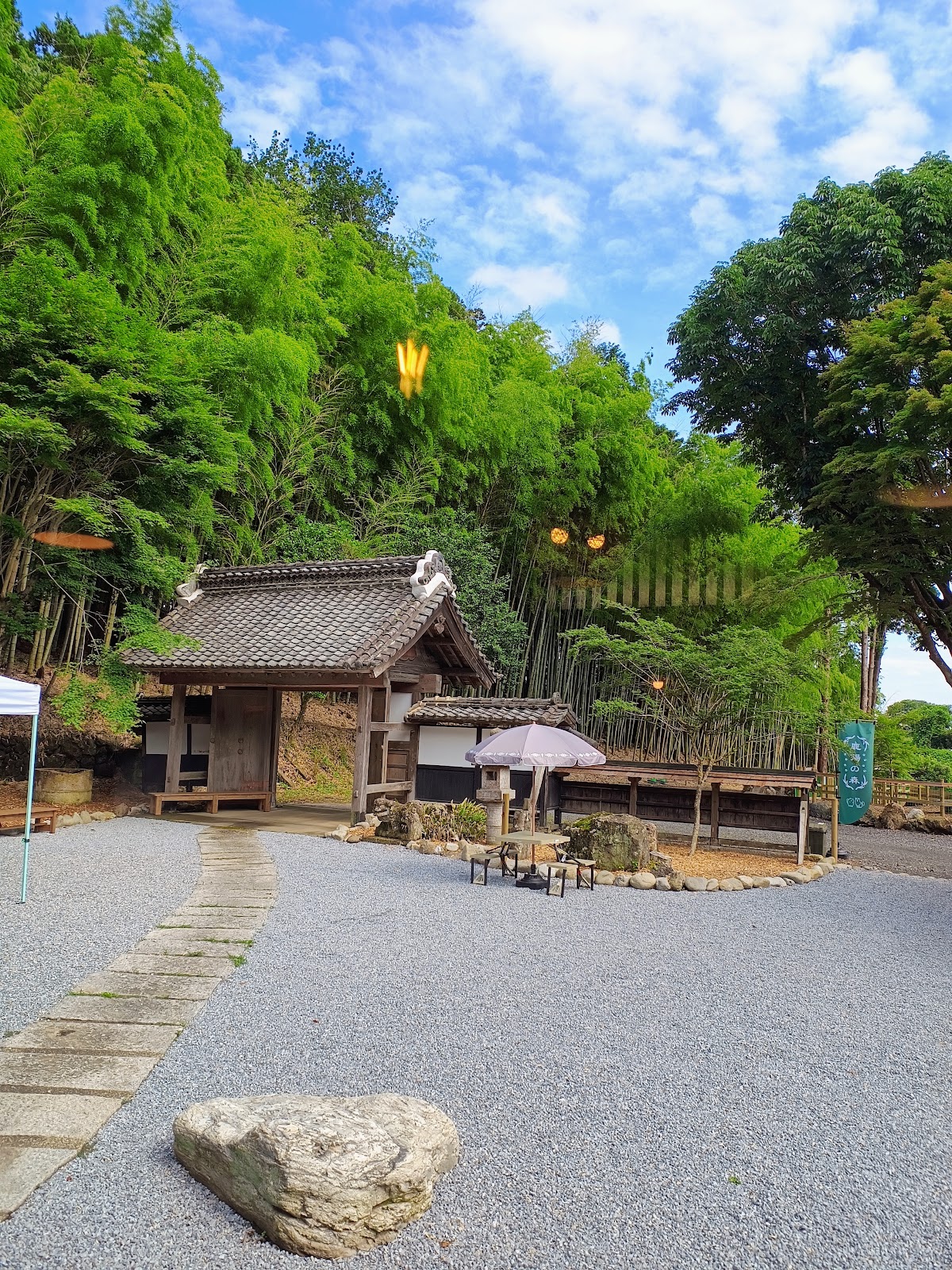 鹿陽の森の実際の写真