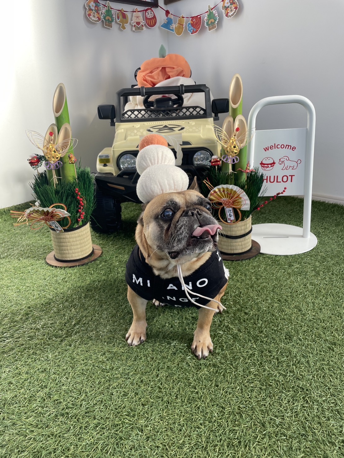 DOG PARK HULOTの実際の写真