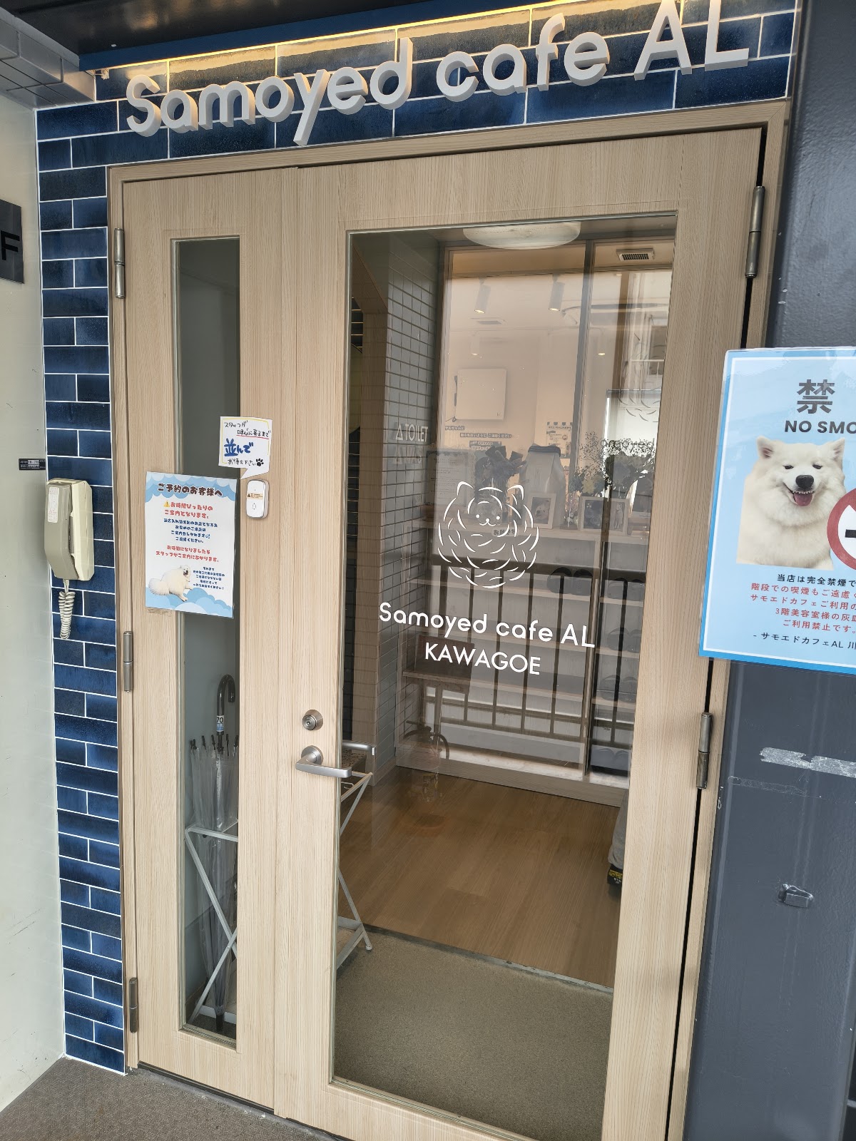 サモエドカフェアル 川越店の実際の写真