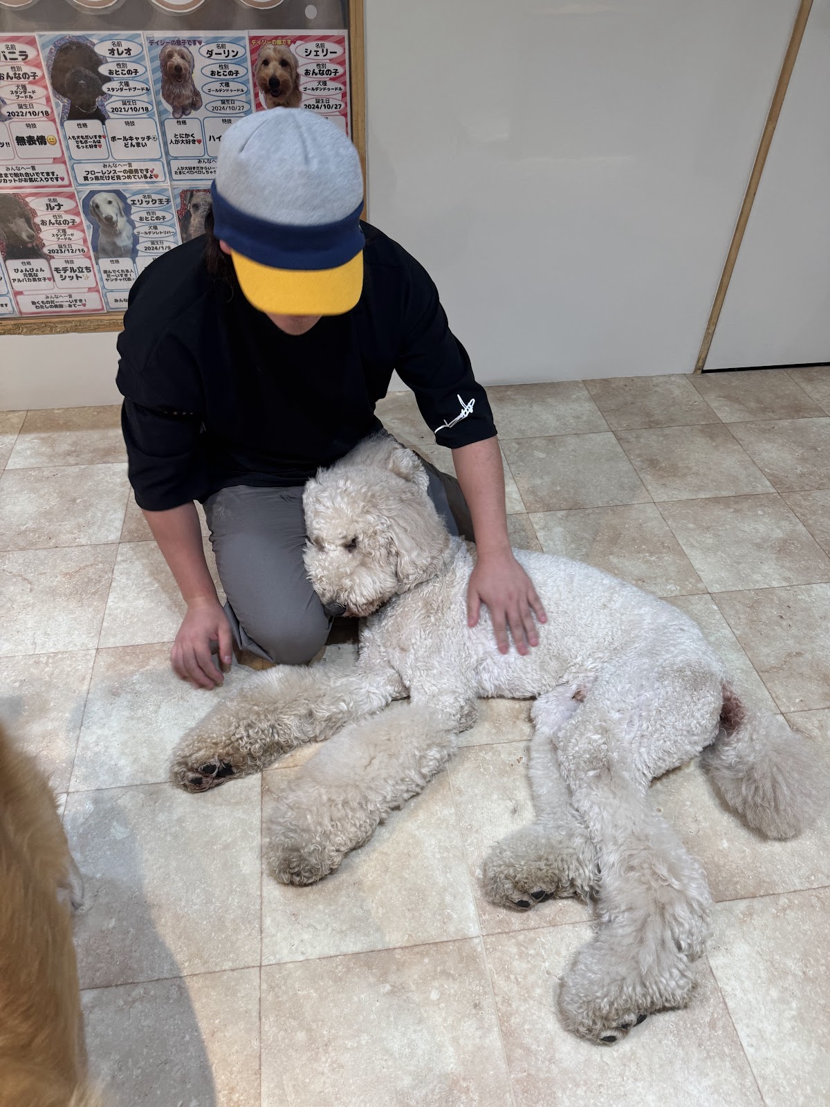 DogCafeFlorenceの実際の写真