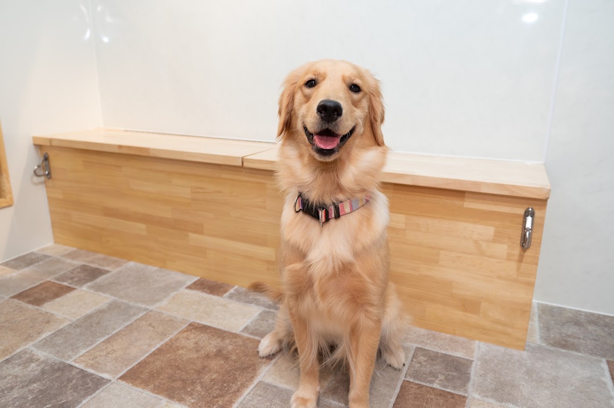 DogCafeFlorenceの実際の写真