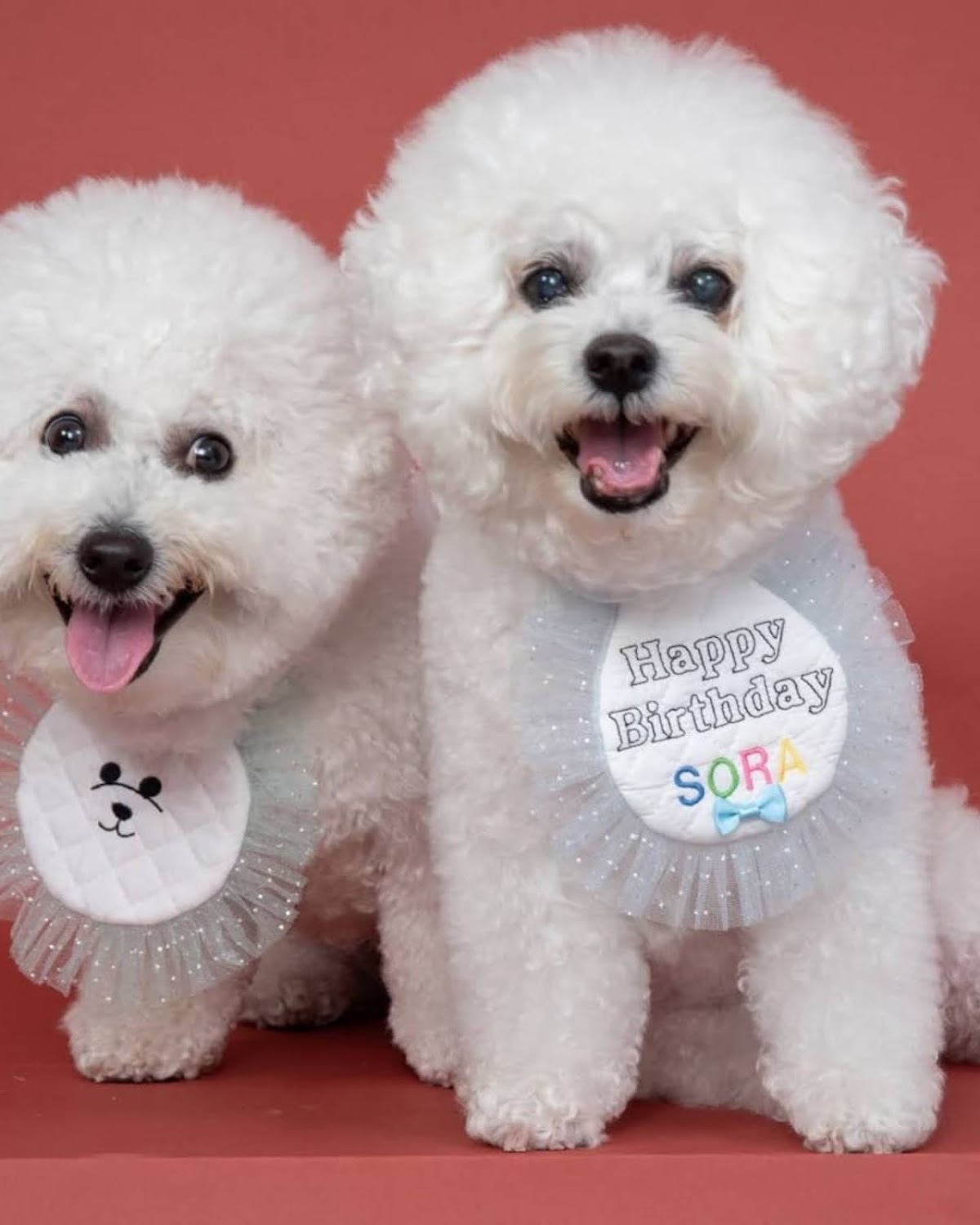 Dogcafe WanCo familiarの実際の写真