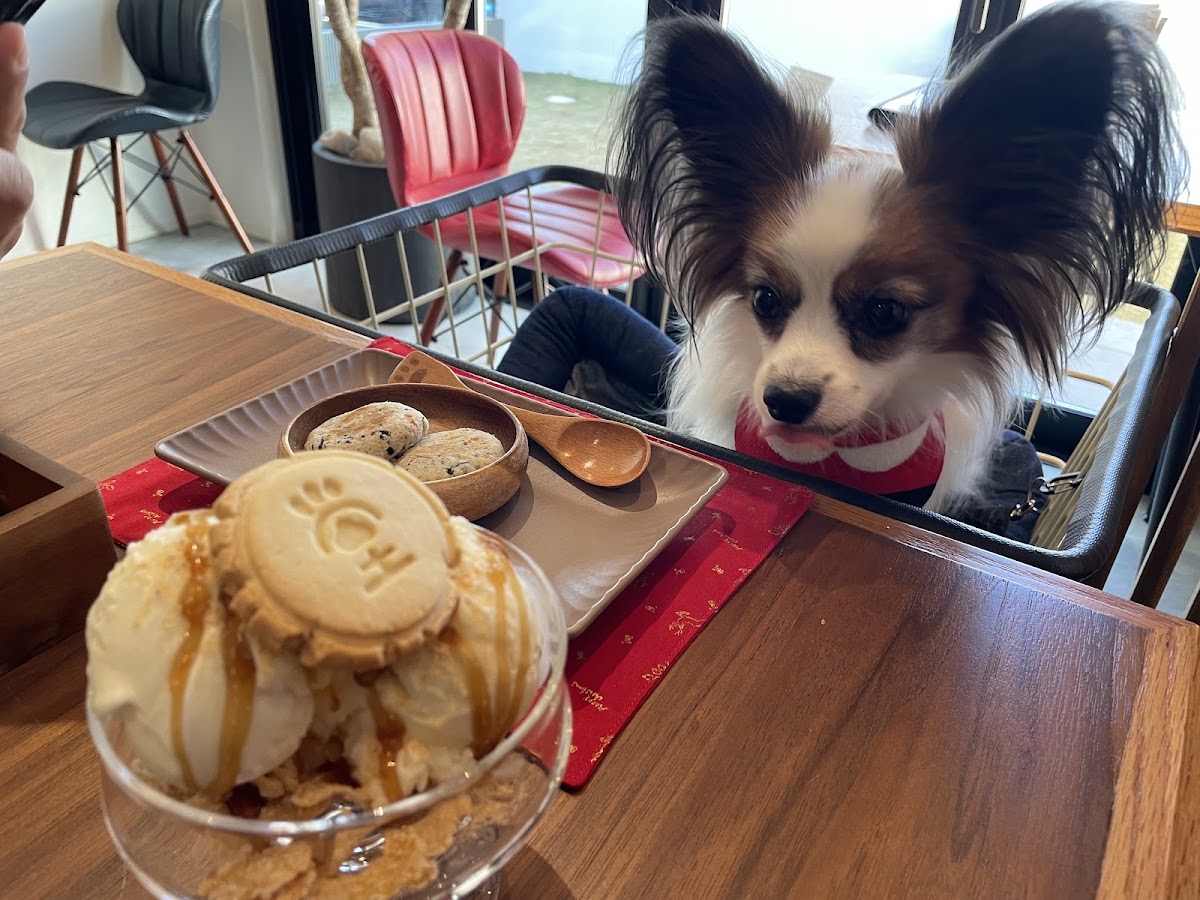 DouDouDoの実際の写真
