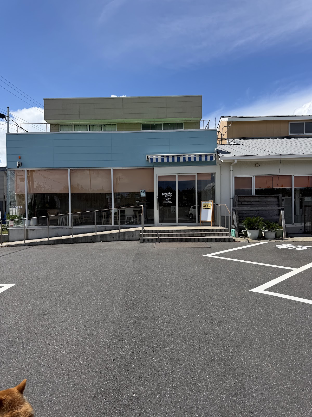 Sashiro's Cafe (サシローカフェ)の実際の写真