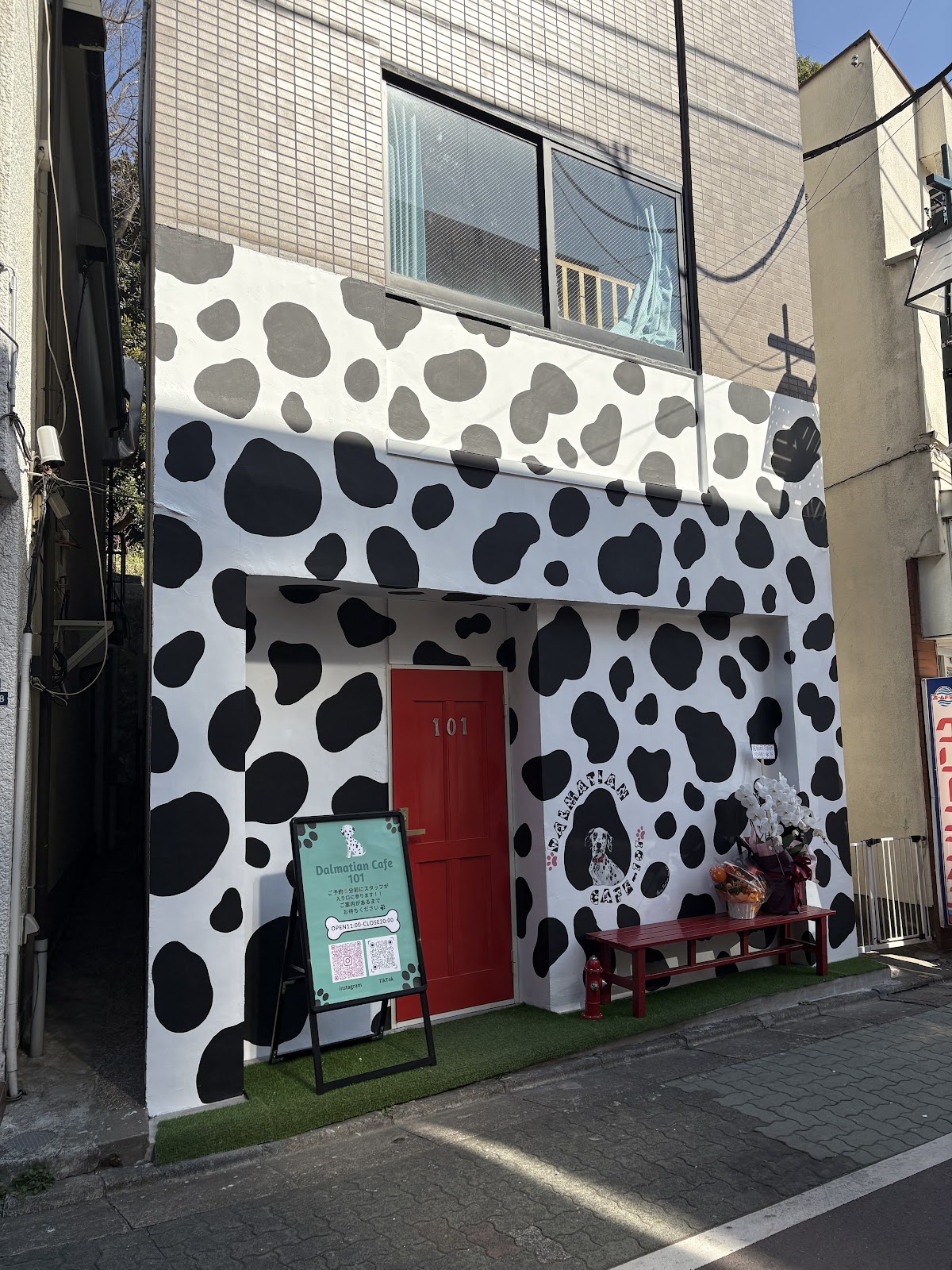 DALMATIAN CAFE 101