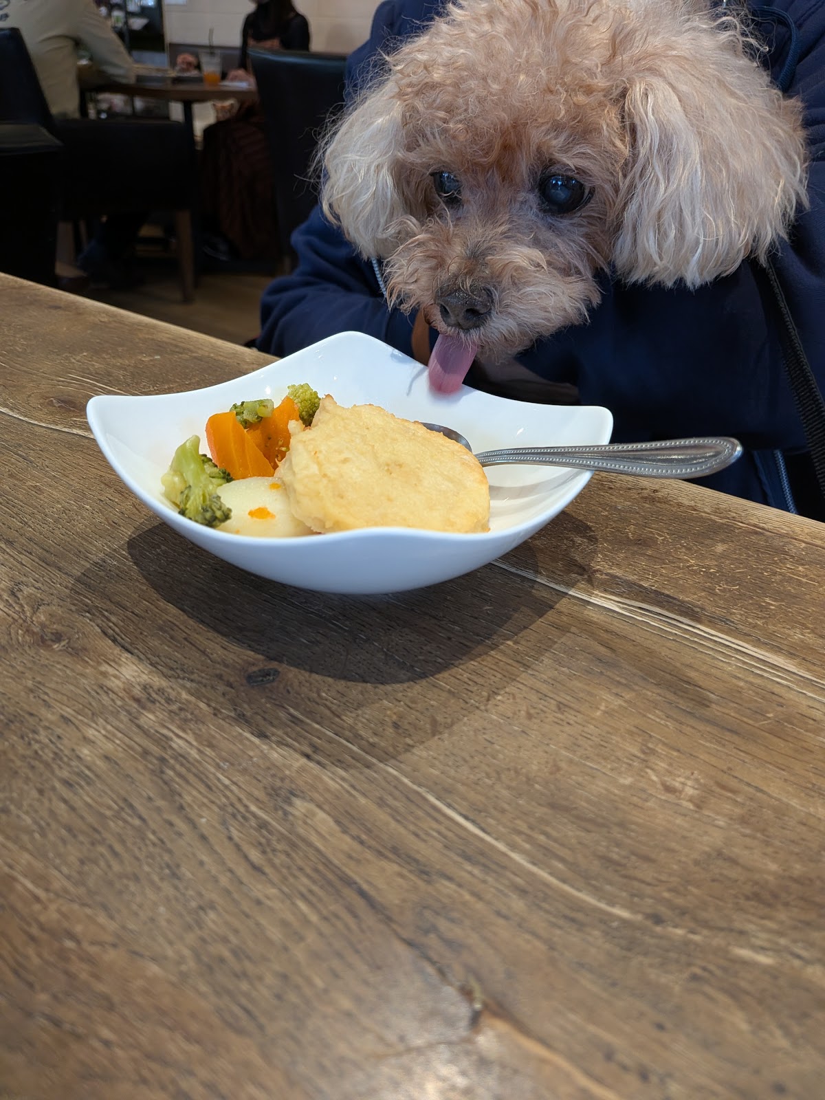 Deco's Dog Cafe 田園茶房の実際の写真